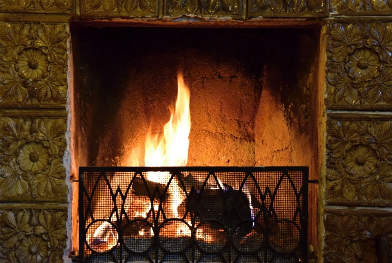 Wood burning fireplace needing annual professional cleaning service in Greenville SC